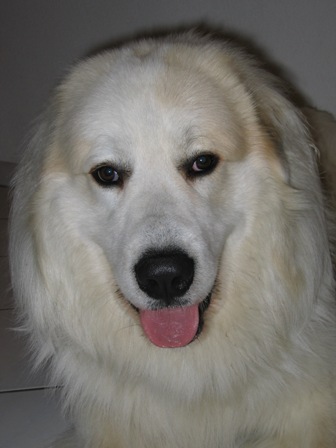 Dezember 2004
